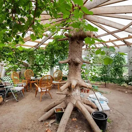 Bed and Breakfast Rosengarden 2*