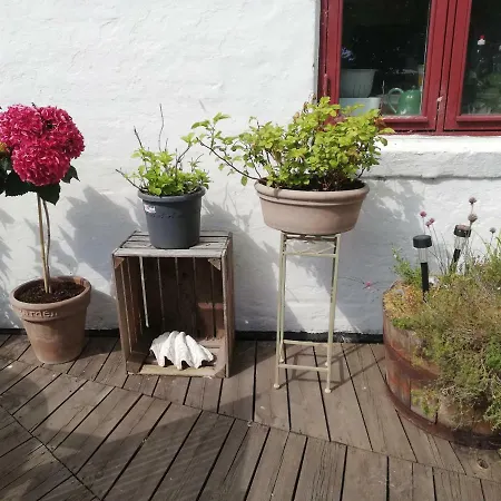Bed and Breakfast Rosengarden Føllenslev