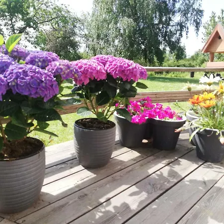 Rosengarden Bed and Breakfast Føllenslev