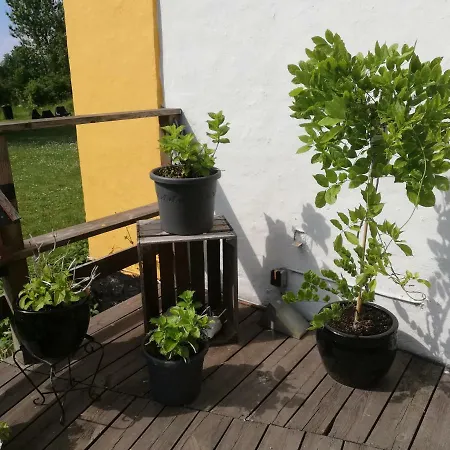 Rosengarden 2* Føllenslev