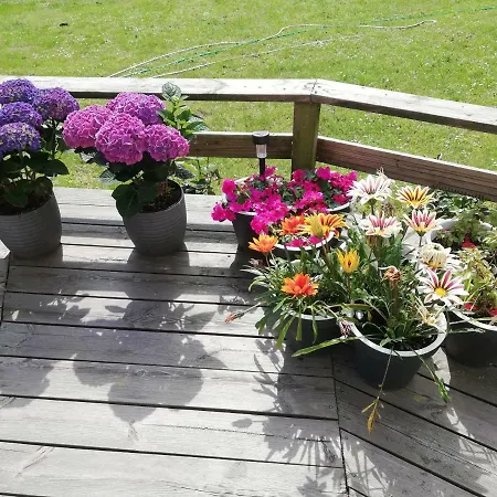 Bed and Breakfast Rosengarden Føllenslev